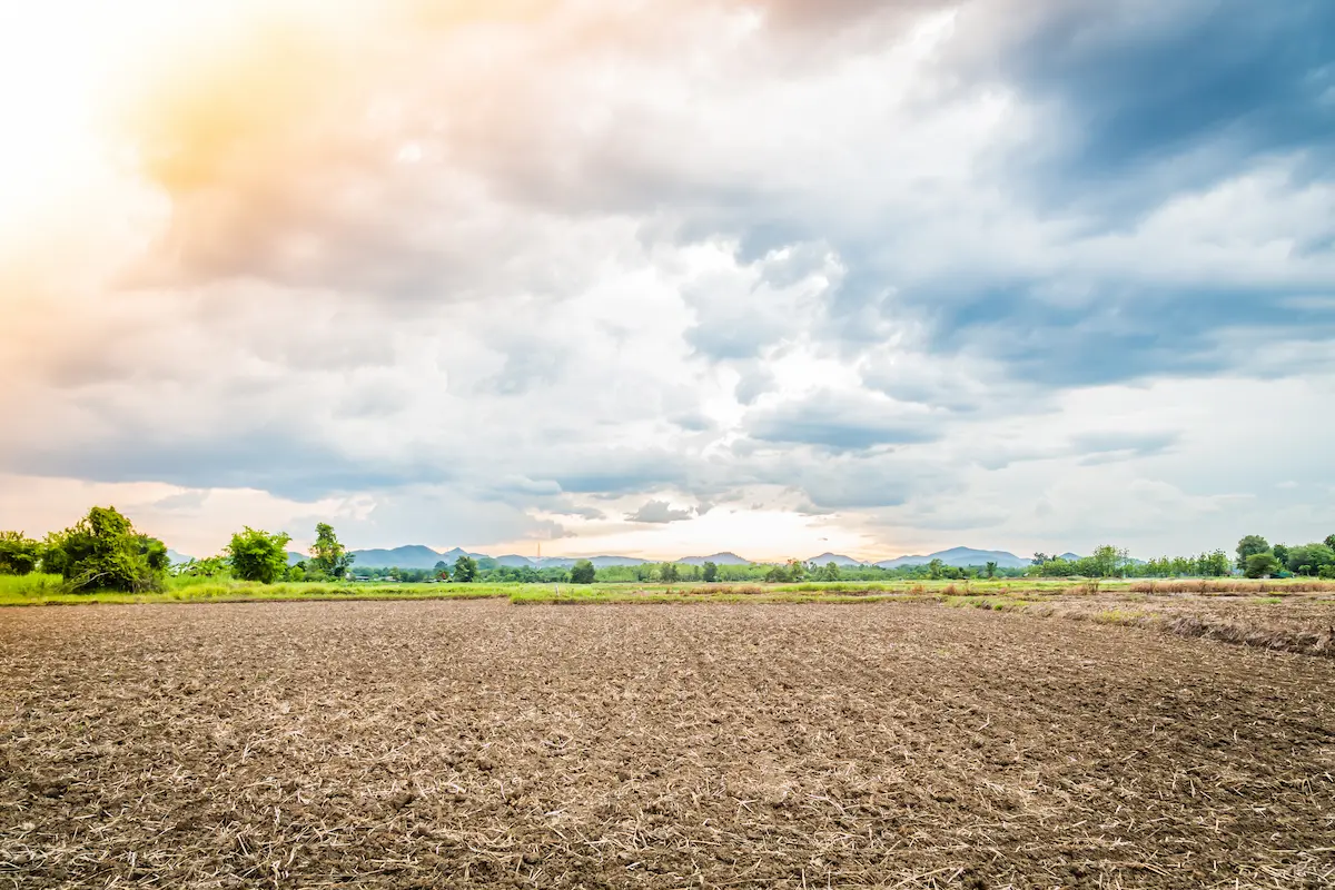 Land for Buy Or Rent